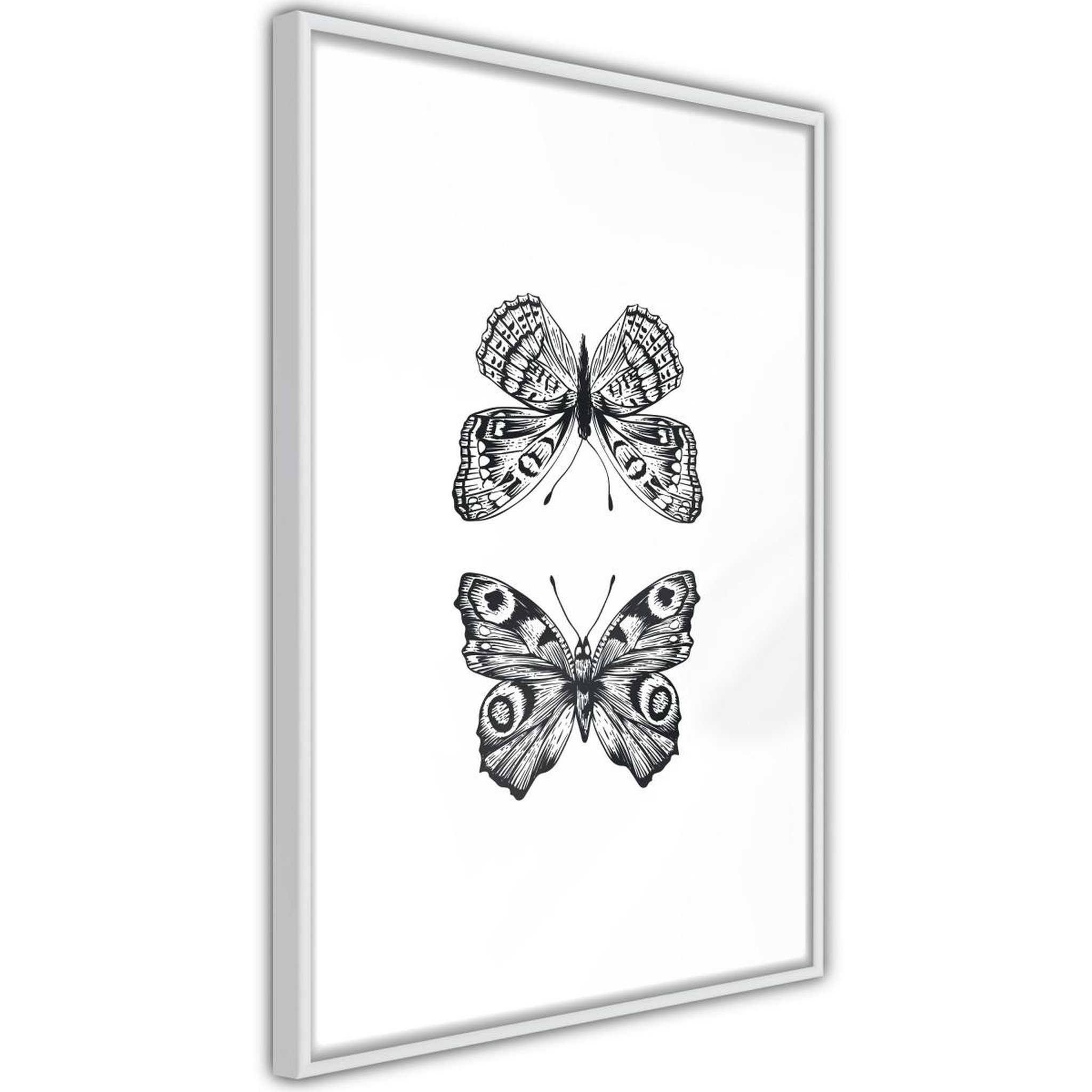 Paris Prix Affiche murale encadrée  butterfly collection i