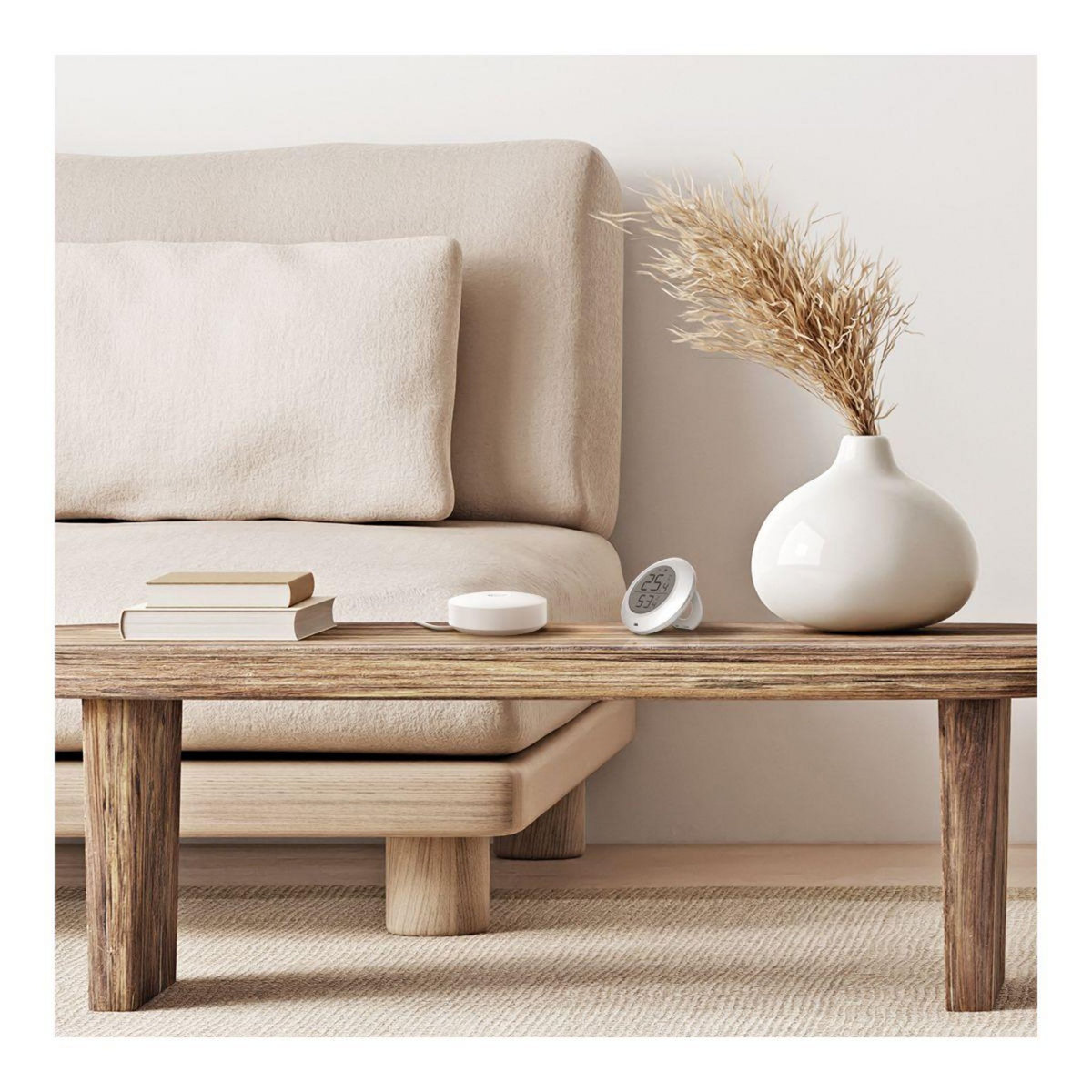 EZVIZ Capteur de température et d'humidité de température et d'humidité T51C