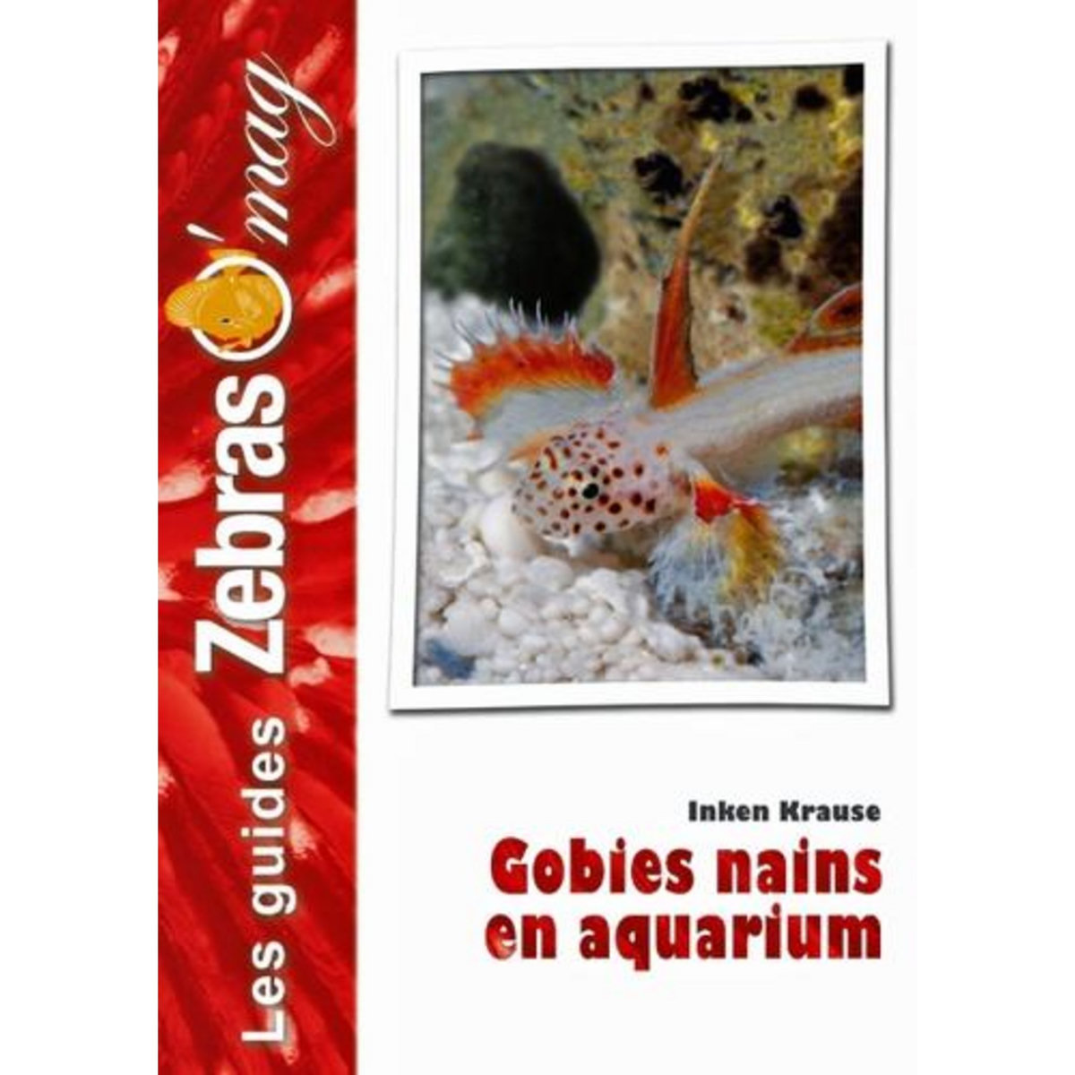 GOBIES NAINS EN AQUARIUM, Krause Inken