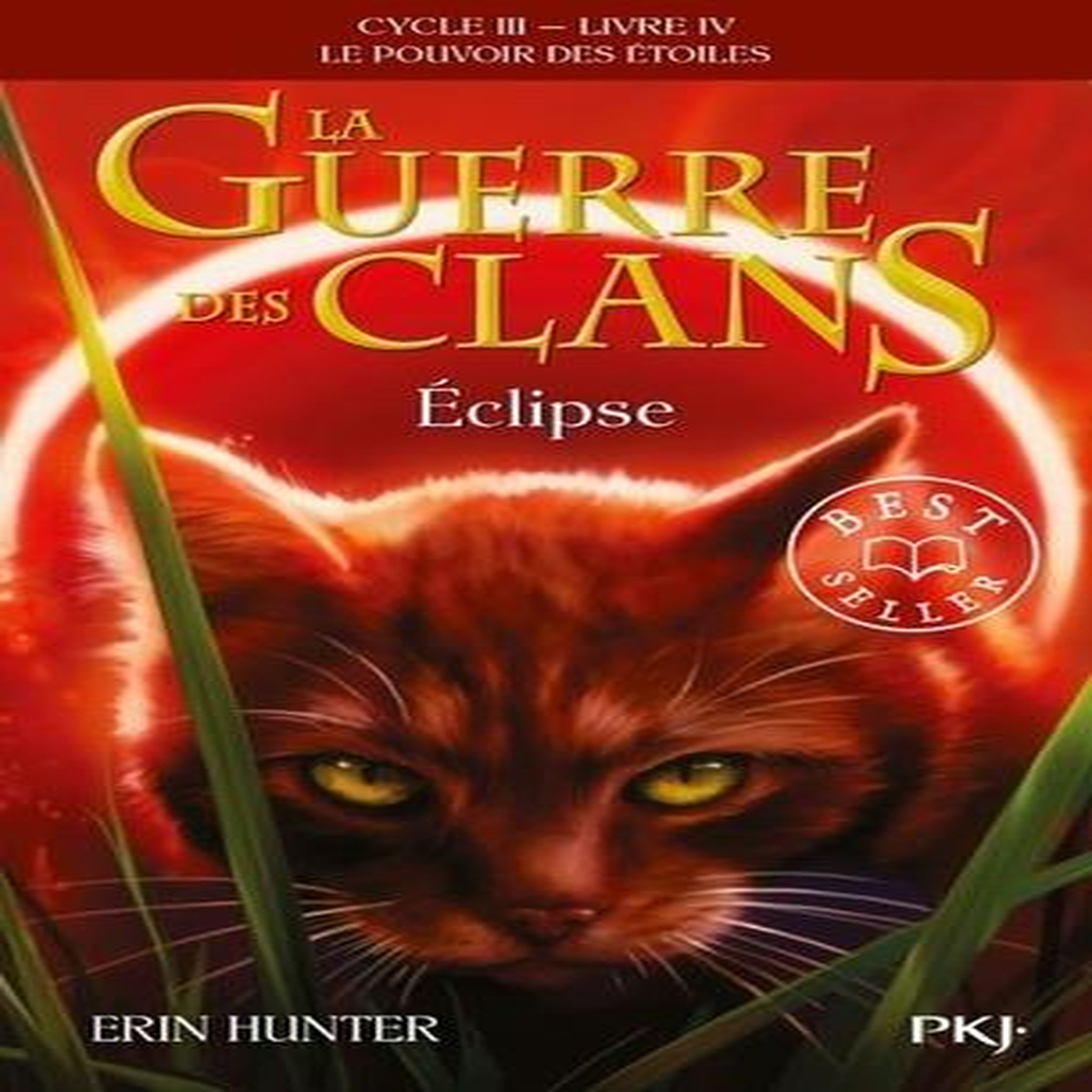 LA GUERRE DES CLANS : LE POUVOIR DES ETOILES (CYCLE III) TOME 4 : ECLIPSE, Hunter Erin