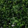 Voir la diapositive 2 : ATMOSPHERA Carré Végétal Artificiel Herbe  Izy  50cm Vert