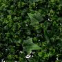 Voir la diapositive 2 : ATMOSPHERA Carré Végétal Artificiel Herbe  Izy  50cm Vert