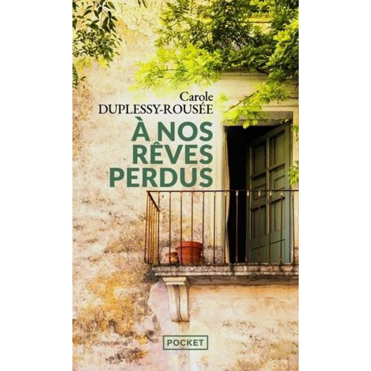 A NOS REVES PERDUS, Duplessy-Rousée Carole