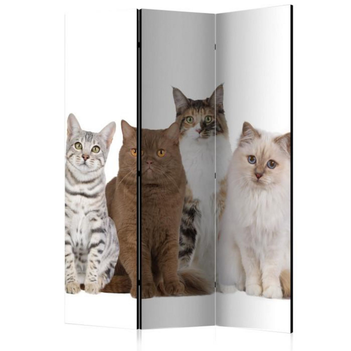 Paris Prix Paravent 3 Volets  Sweet Cats  135x172cm