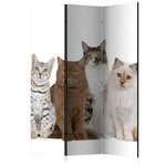 Paris Prix Paravent 3 Volets  Sweet Cats  135x172cm