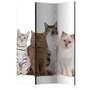 Voir la diapositive 1 : Paris Prix Paravent 3 Volets  Sweet Cats  135x172cm