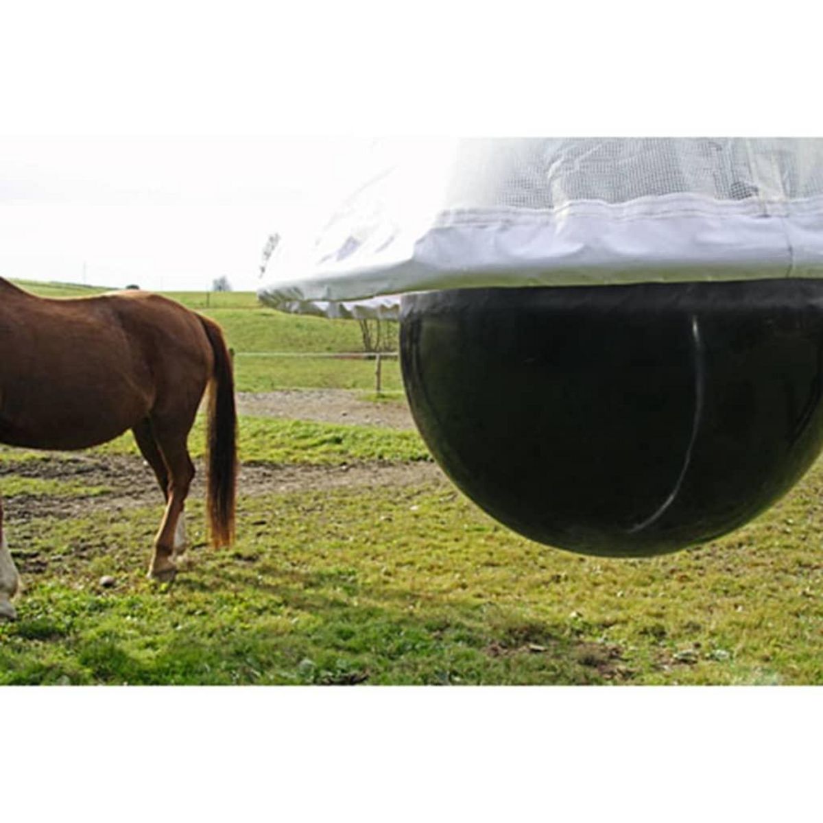 KERBL Kerbl Piege a taons TaonX Fer galvanise Blanc et noir