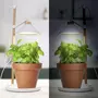 Smartwares Smartwares Lampe de culture de jardin a LED 9 W Blanc