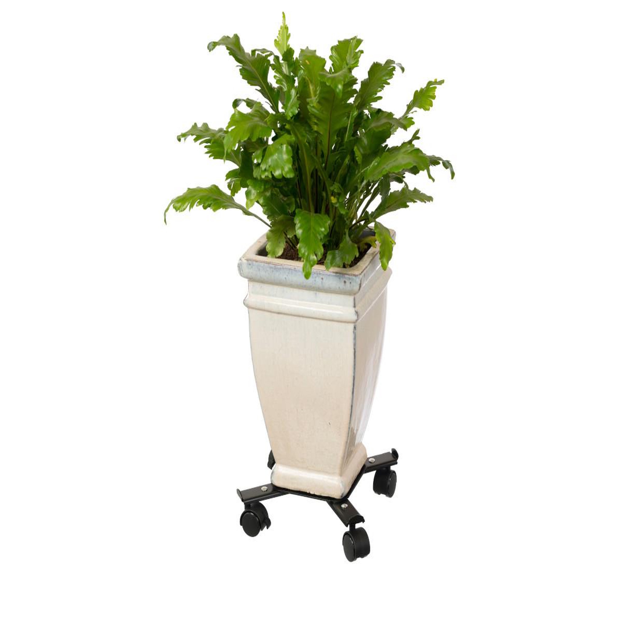 Voir la diapositive 3 : NATURE Support roulant extensible - métal époxy coloris noir mat, 4 branches, charge maxi 100 kg, 4 roulettes - 34/51 x 34/51 cm - Nature
