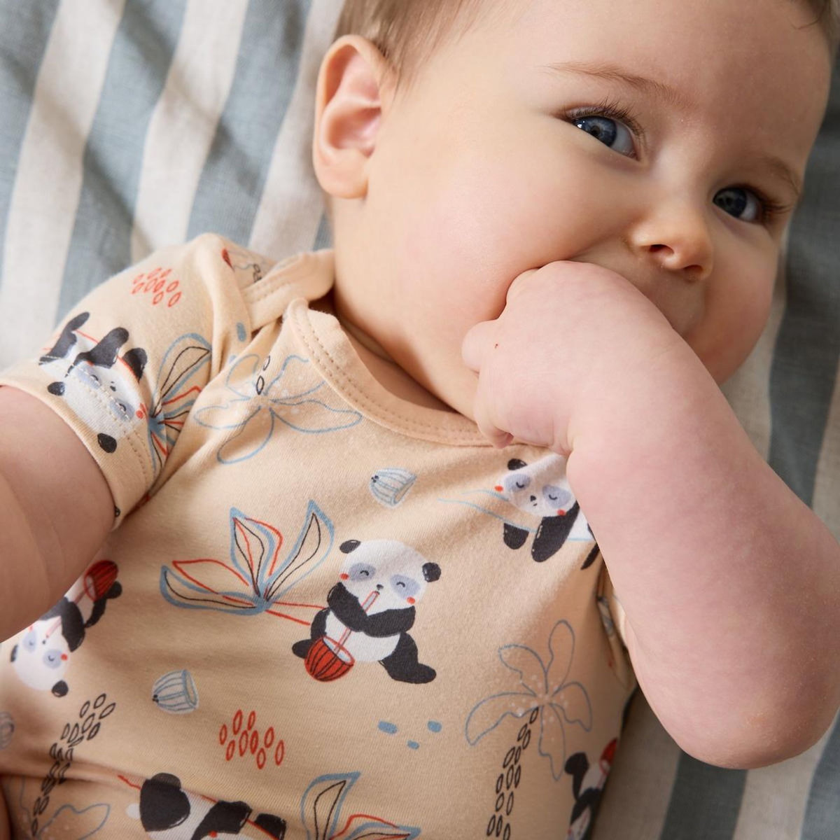 Petit Béguin Lot de 2 bodies bébé manches courtes Bento