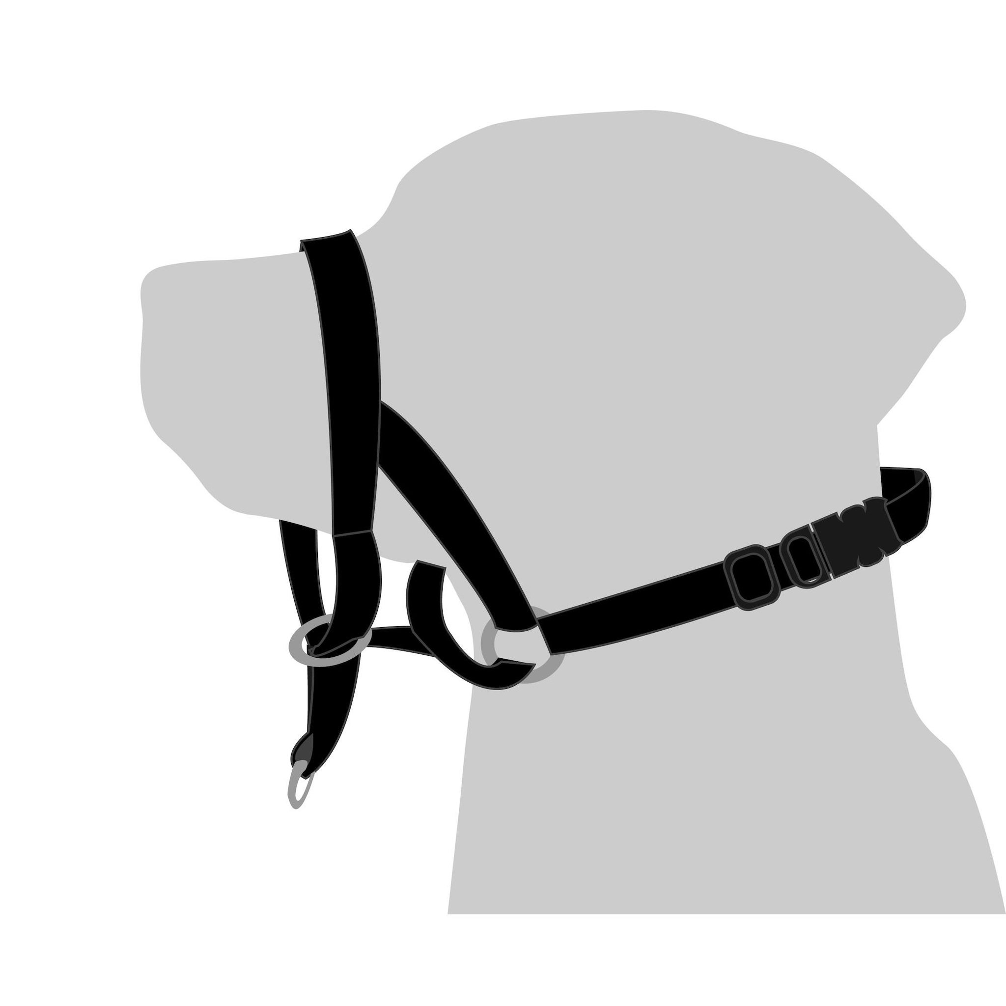 Voir la diapositive 3 : Eden Collier educatif easy anti traction