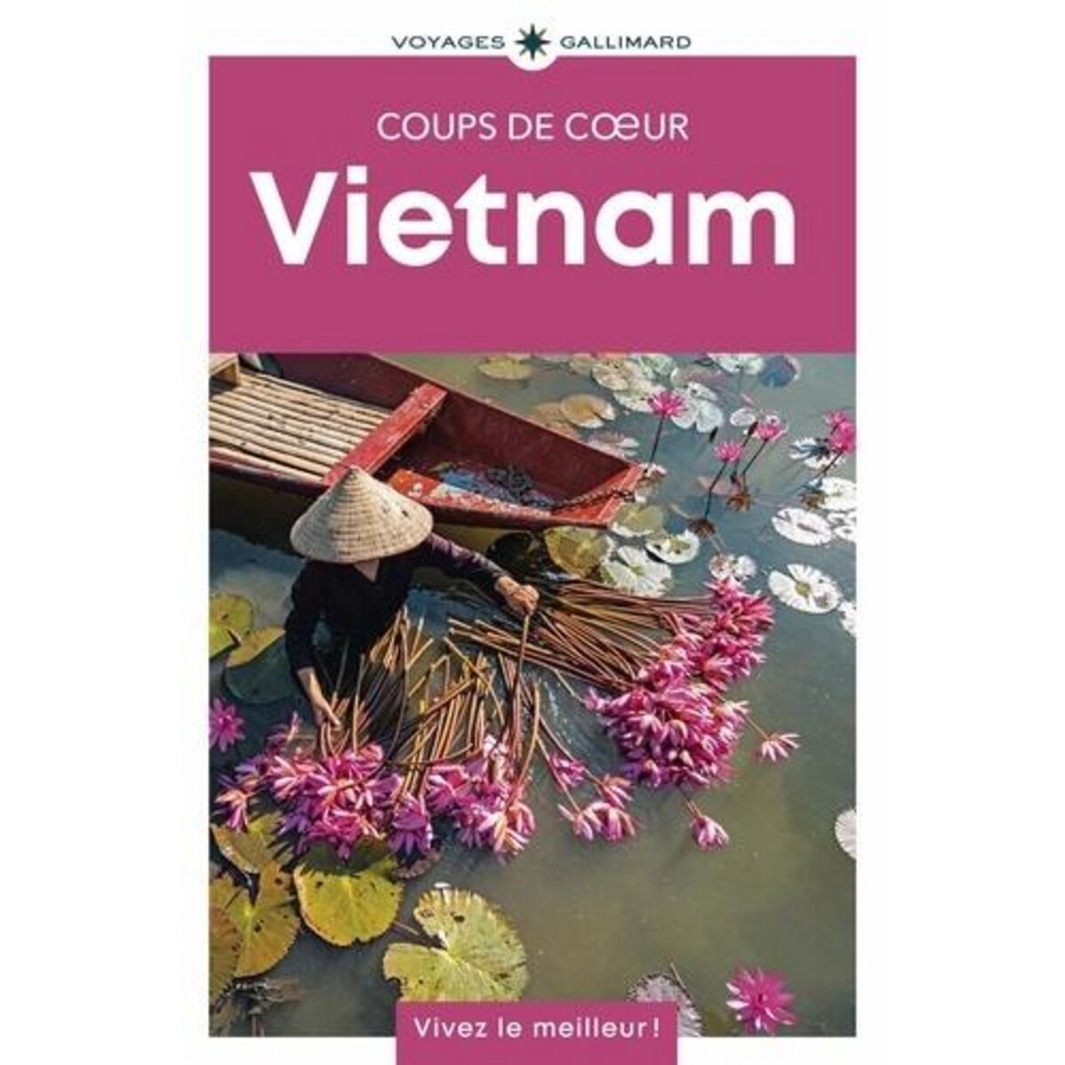 VIETNAM, Baud Guillaume