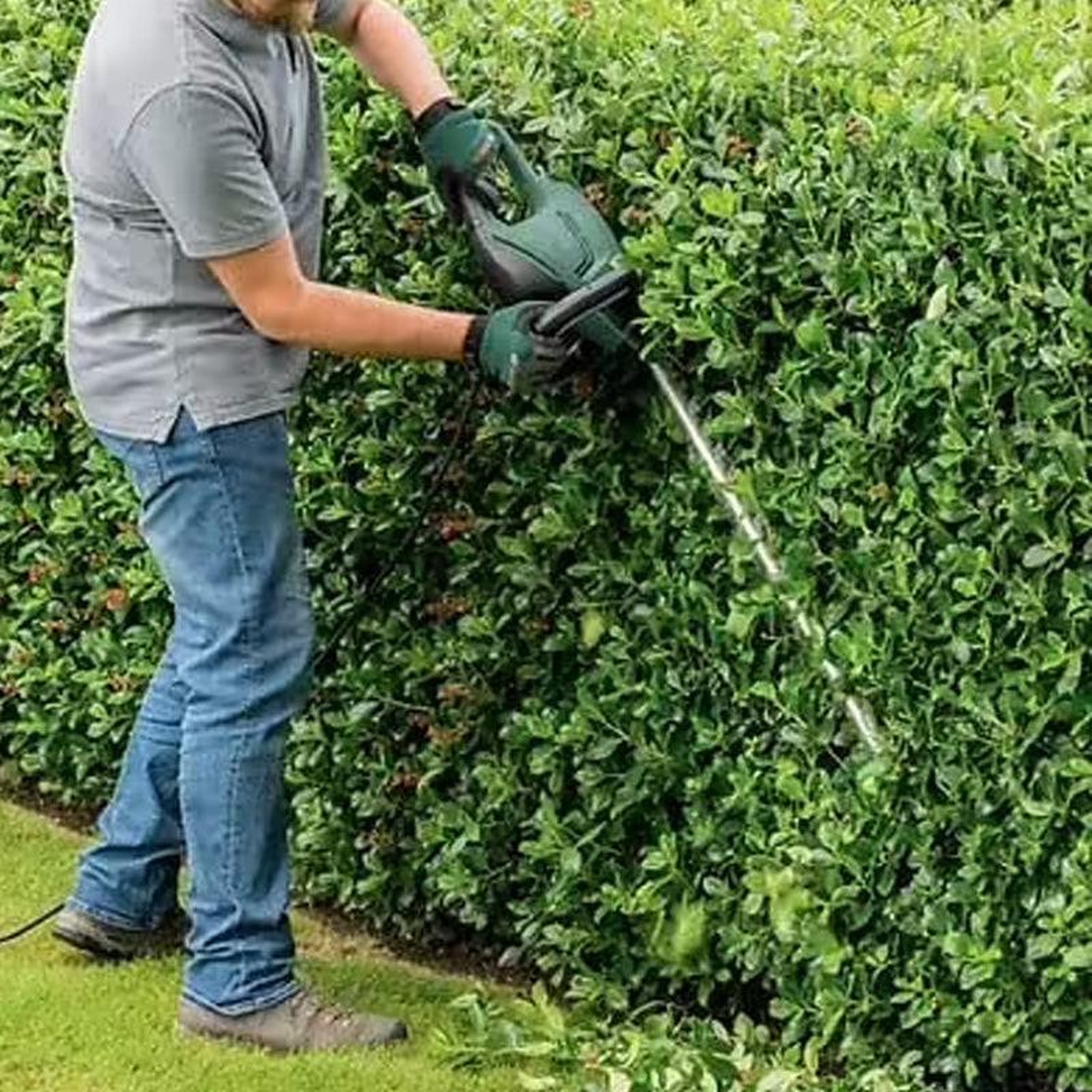 Voir la diapositive 2 : BOSCH Taille-haies filaire BOSCH UniversalHedgeCut 60