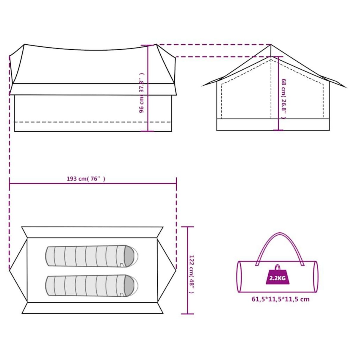 VIDAXL Tente de camping 2 personnes vert impermeable