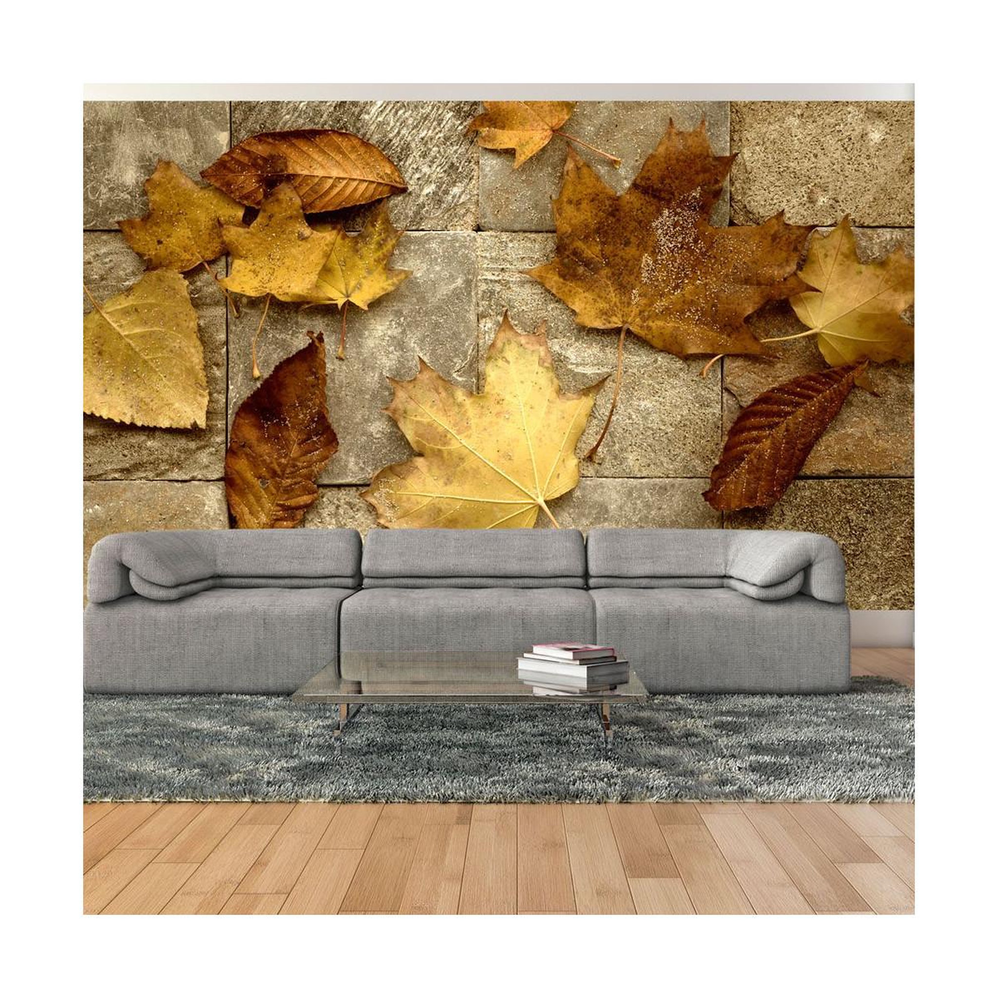 Paris Prix Papier peint  signes avant coureurs de l'automne ii  270x450cm