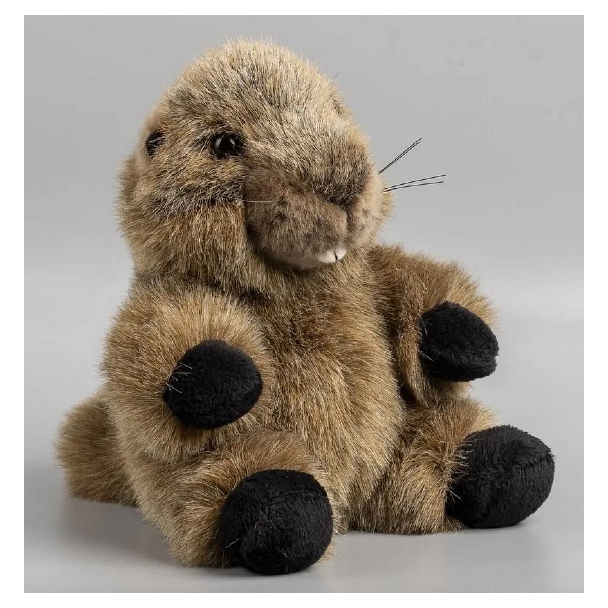 Anima Peluche Marmotte Tetabizous- 17cmH