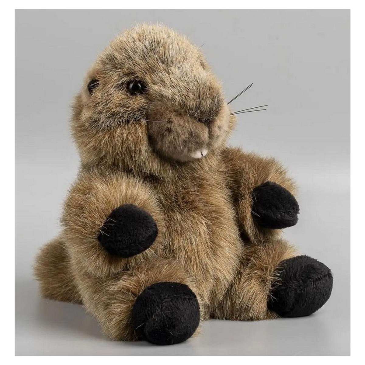 Anima Peluche Marmotte Tetabizous- 17cmH
