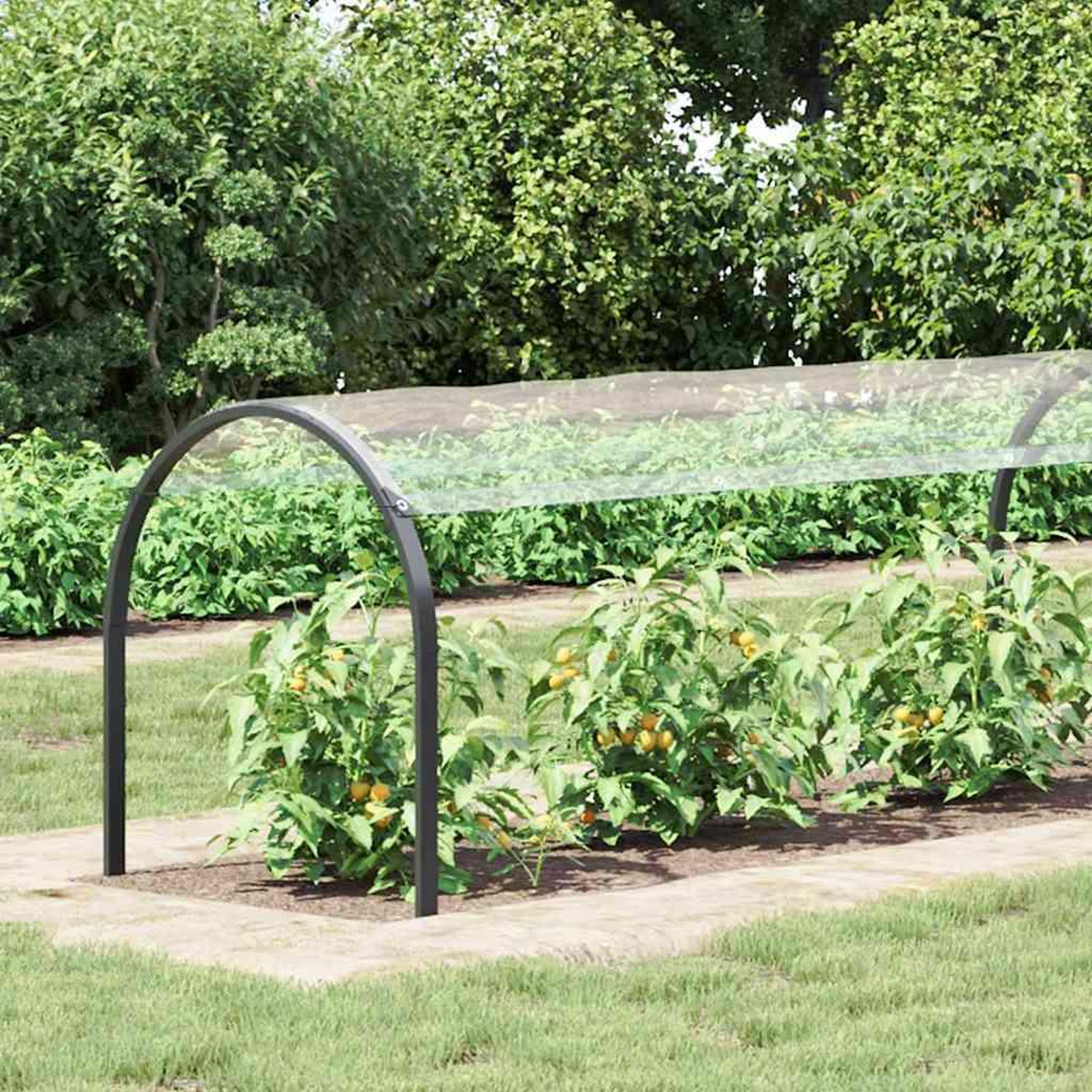 Voir la diapositive 2 : VIDAXL Couverture vegetale avec œillets 1x6m PVC