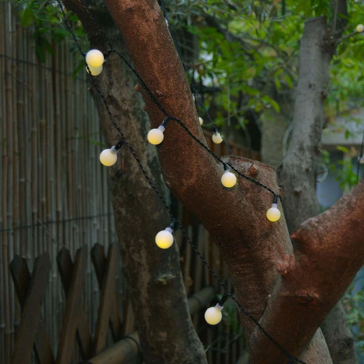 Lumisky Guirlande Solaire BILLY   6.9M