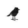 PRESENT TIME Statuette oiseau floqué - H.24cm - Noir