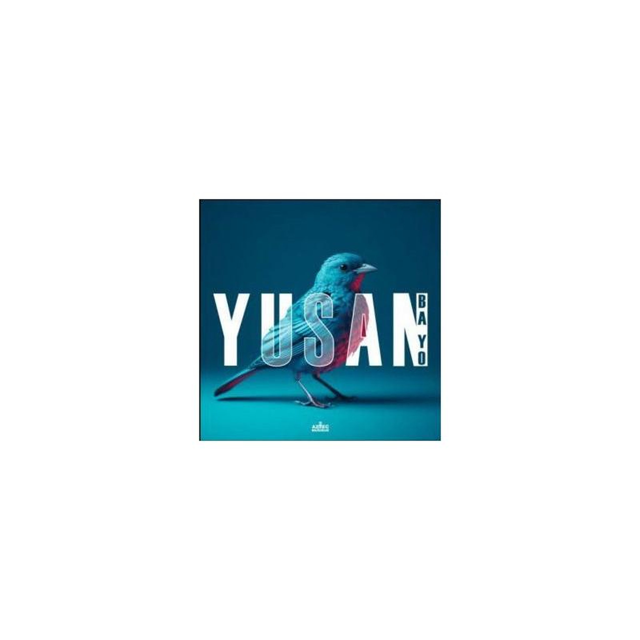 Vinyle lp 33 t 30 cm yusan – ba yo (1 disque)