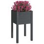Voir la diapositive 3 : VIDAXL Jardinieres d'exterieur 2pcs Gris 40x40x70cm Bois de pin massif