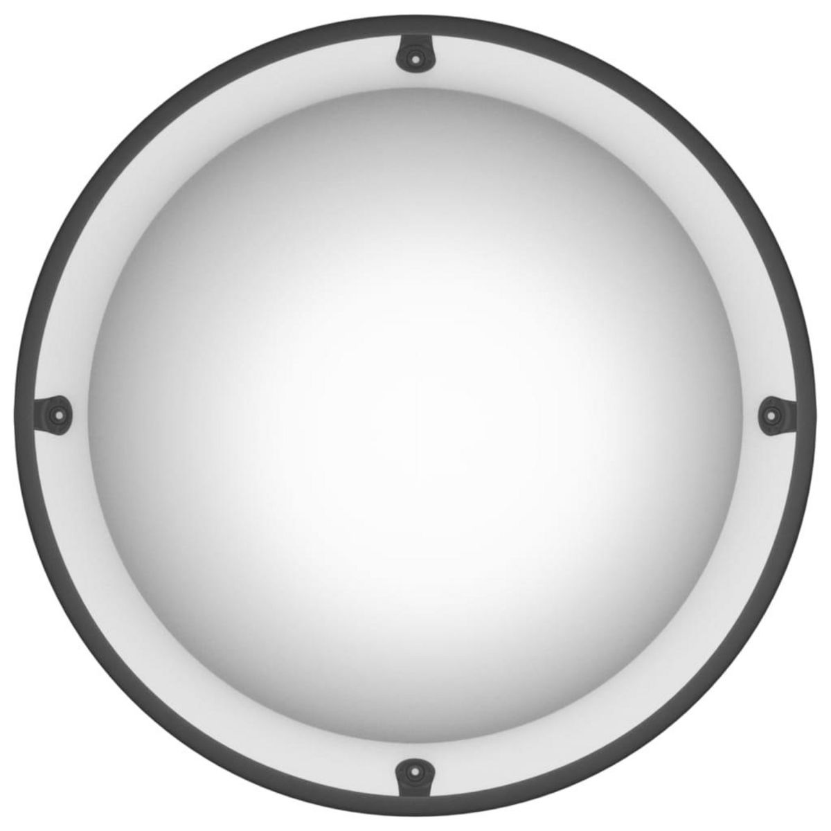 VIDAXL Miroir de circulation en dome integral Ø40 cm Acrylique