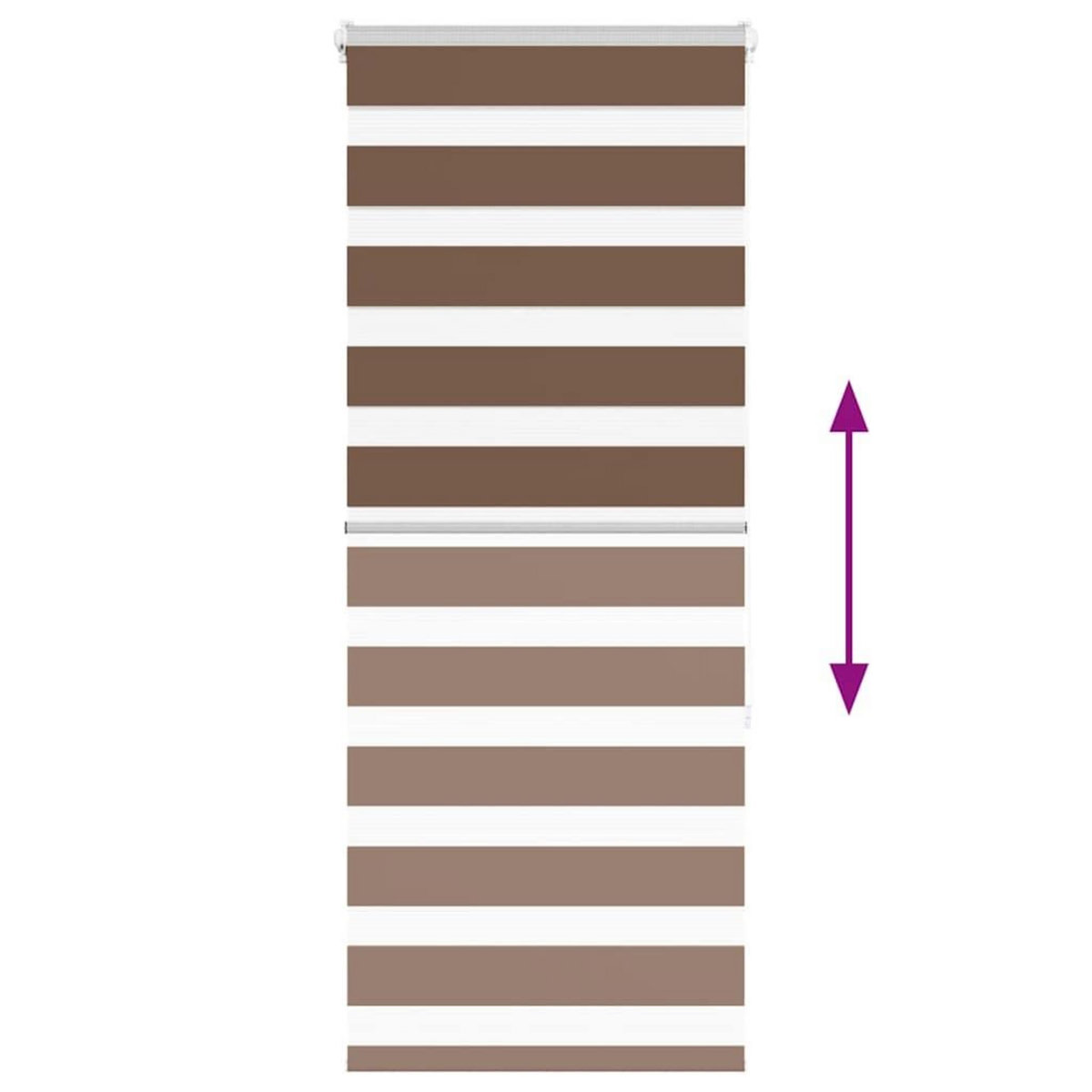 VIDAXL Store zebre marron 65x150 cm largeur du tissu 60,9 cm polyester