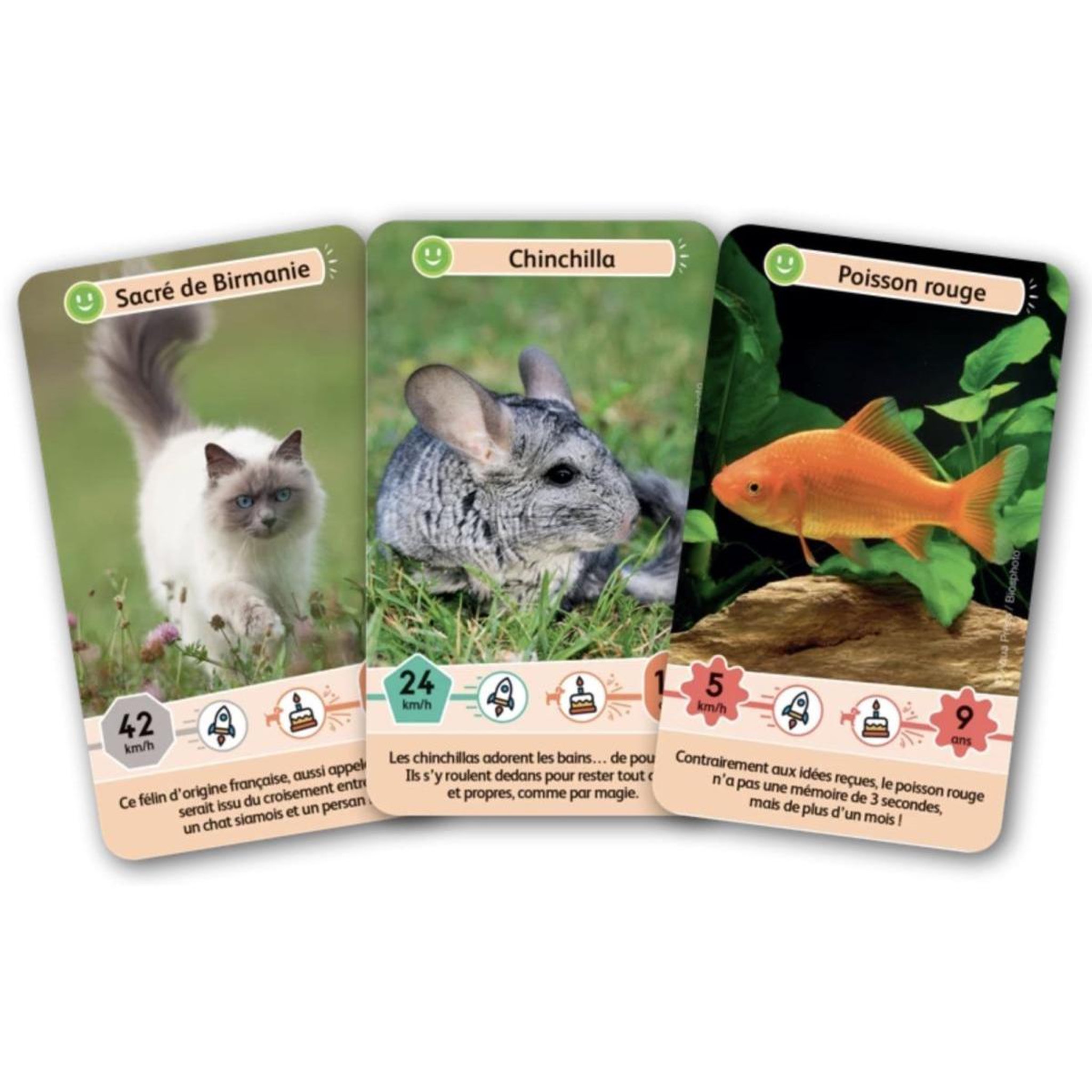 Voir la diapositive 3 : Bioviva Défis Nature Junior - Fidèles compagnons