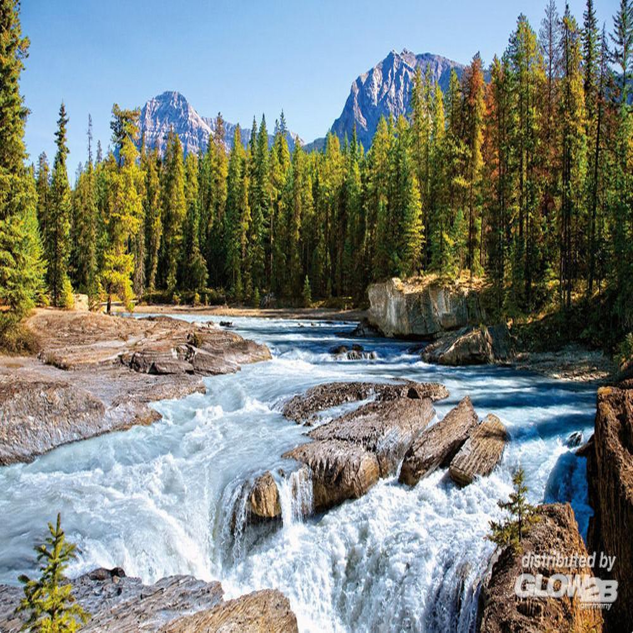 Castorland Puzzle 1500 pièces - rivière athabasca, parc national de jasper : canada