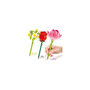Voir la diapositive 5 : Canal Toys Canal Toys - BLOOM – Stylo Fleur a Construire – Pack de 3 – Rose, Lotus et Marguerite - Encre pailletée et parfumée –