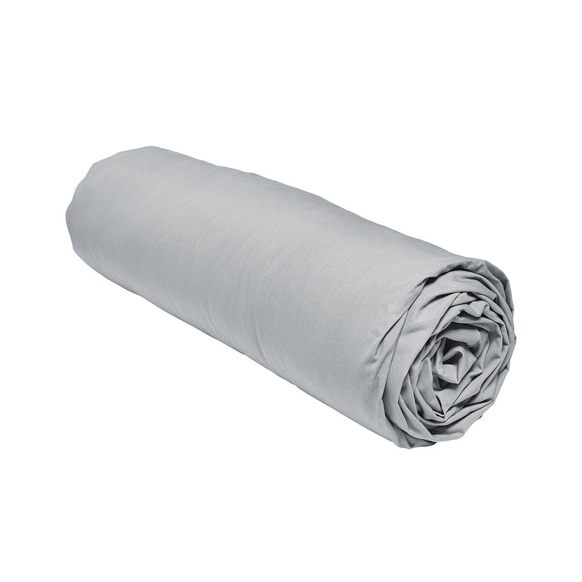 TODAY Drap Housse uni en Percale de coton 