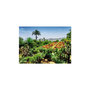 Voir la diapositive 2 : RAVENSBURGER Ravensburger - Jigsaw puzzle Botanical Garden, Madeira, 1000 pcs. 12000853 8