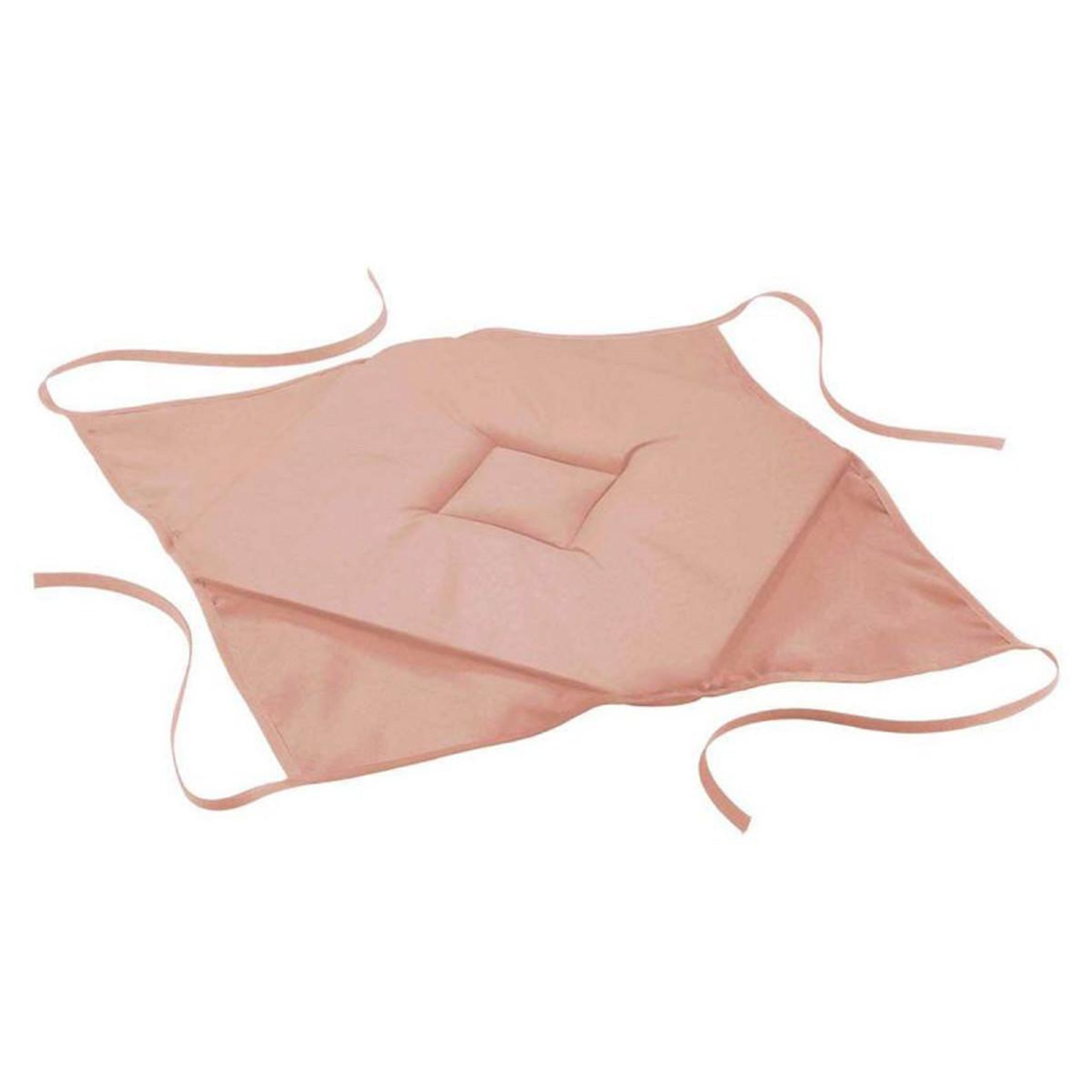 Voir la diapositive 1 : Douceur d'Intérieur Galette de chaise  essentiel  36x36cm rose poudré