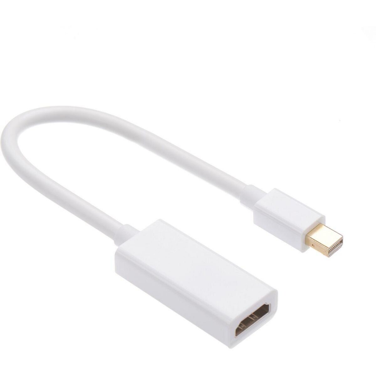 Adaptateur Displayport/HDMI ESSENTIELB DisplayPort M vers HDMI F