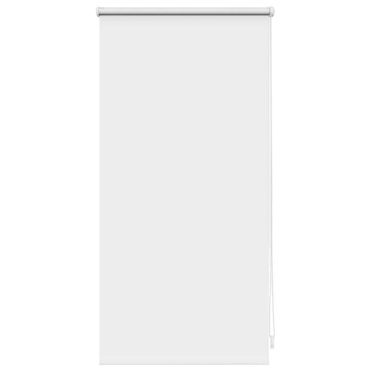 VIDAXL Store a rouleau 40x100 cm Blanc