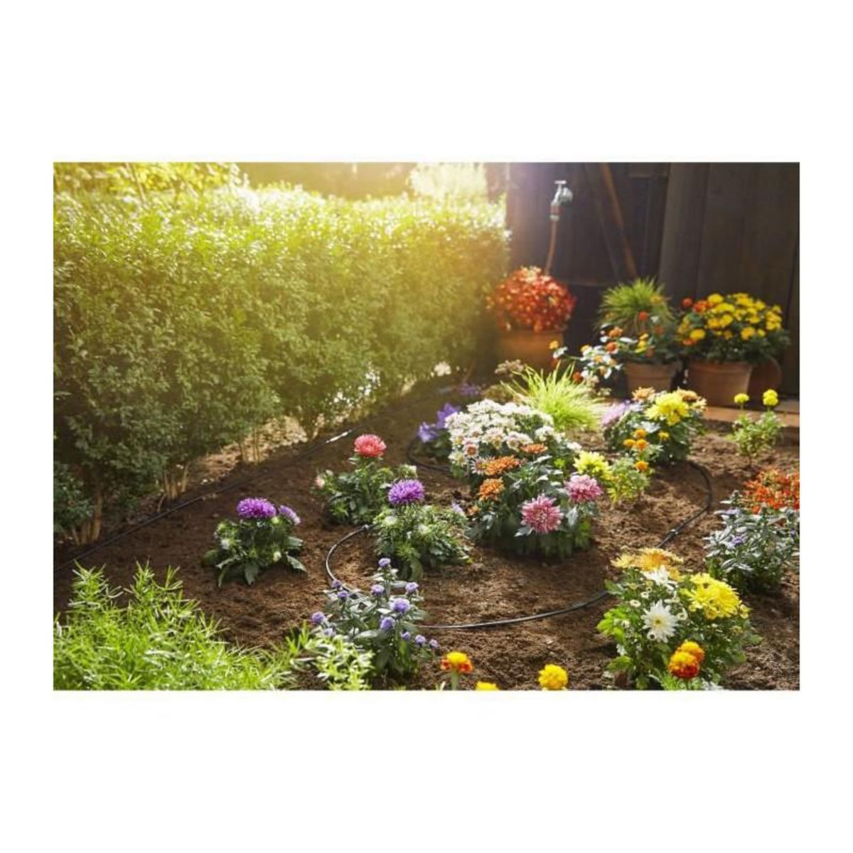 Gardena Kit d'irrigation Micro-Drip system pour les haies - 15 m - 4,6 mm