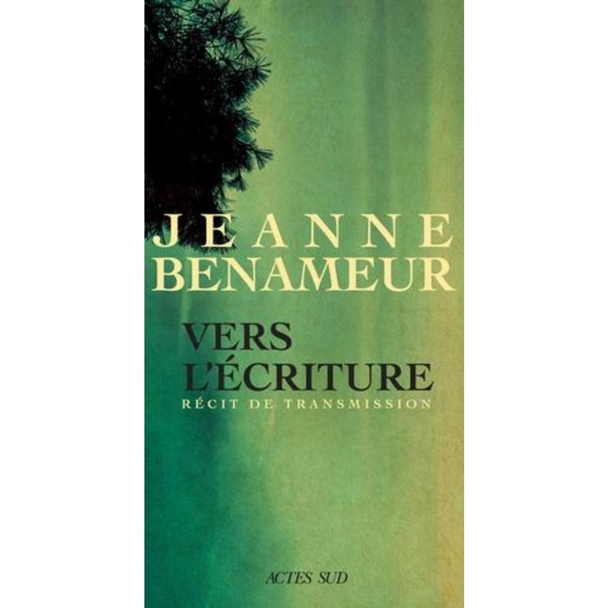 VERS L'ECRITURE. LANGUE COMMUNE, LANGUE SINGULIERE. RECIT DE TRANSMISSION, Benameur Jeanne