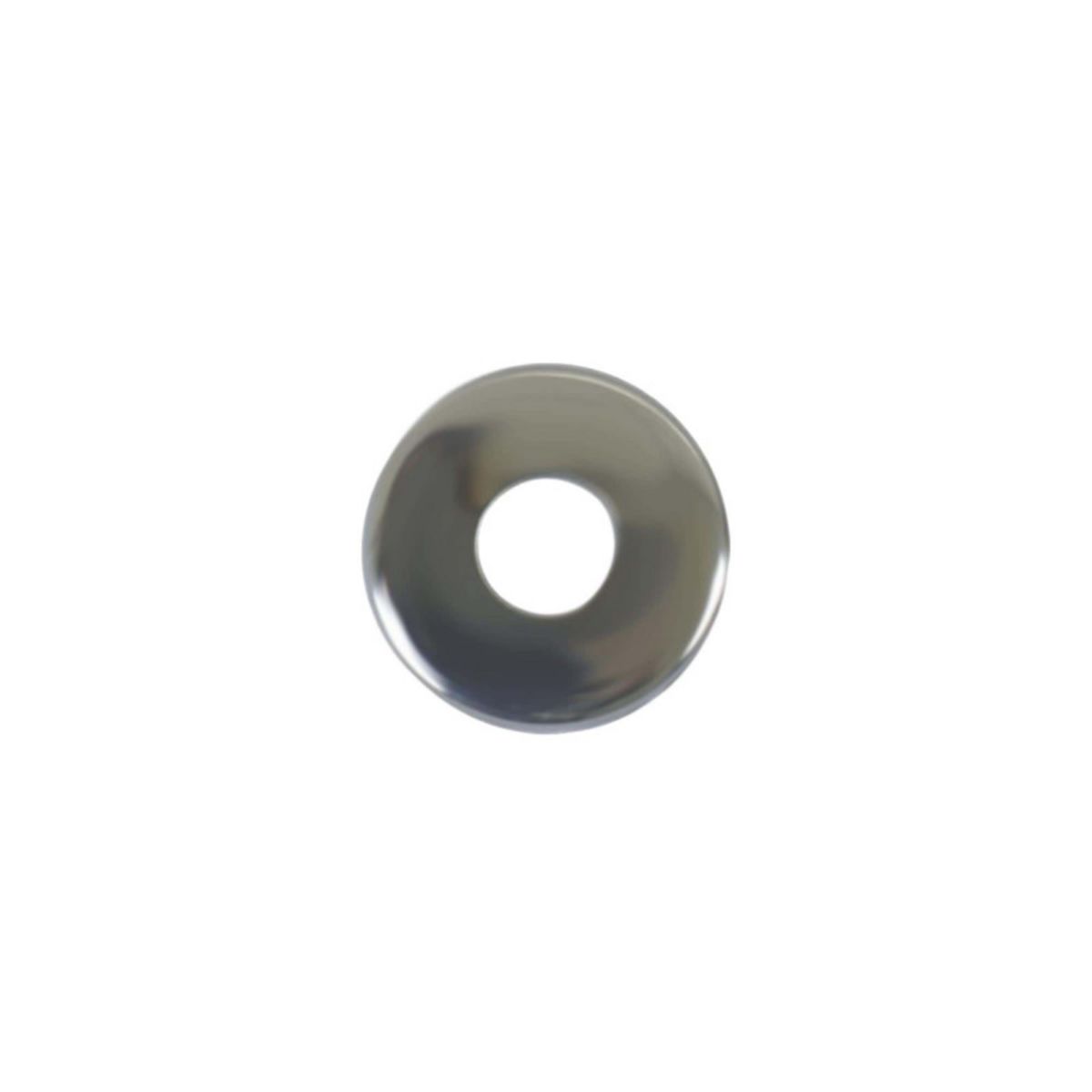 ESPACE-BRICOLAGE Rosaces rondes batteuses diamètre 20 - inox 304 brillant x2