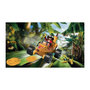 Voir la diapositive 2 : PLAYMOBIL Playmobil 71717 Kart banane, Funstars, 31 pieces, Des 4 ans