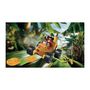 Voir la diapositive 2 : PLAYMOBIL Playmobil 71717 Kart banane, Funstars, 31 pieces, Des 4 ans