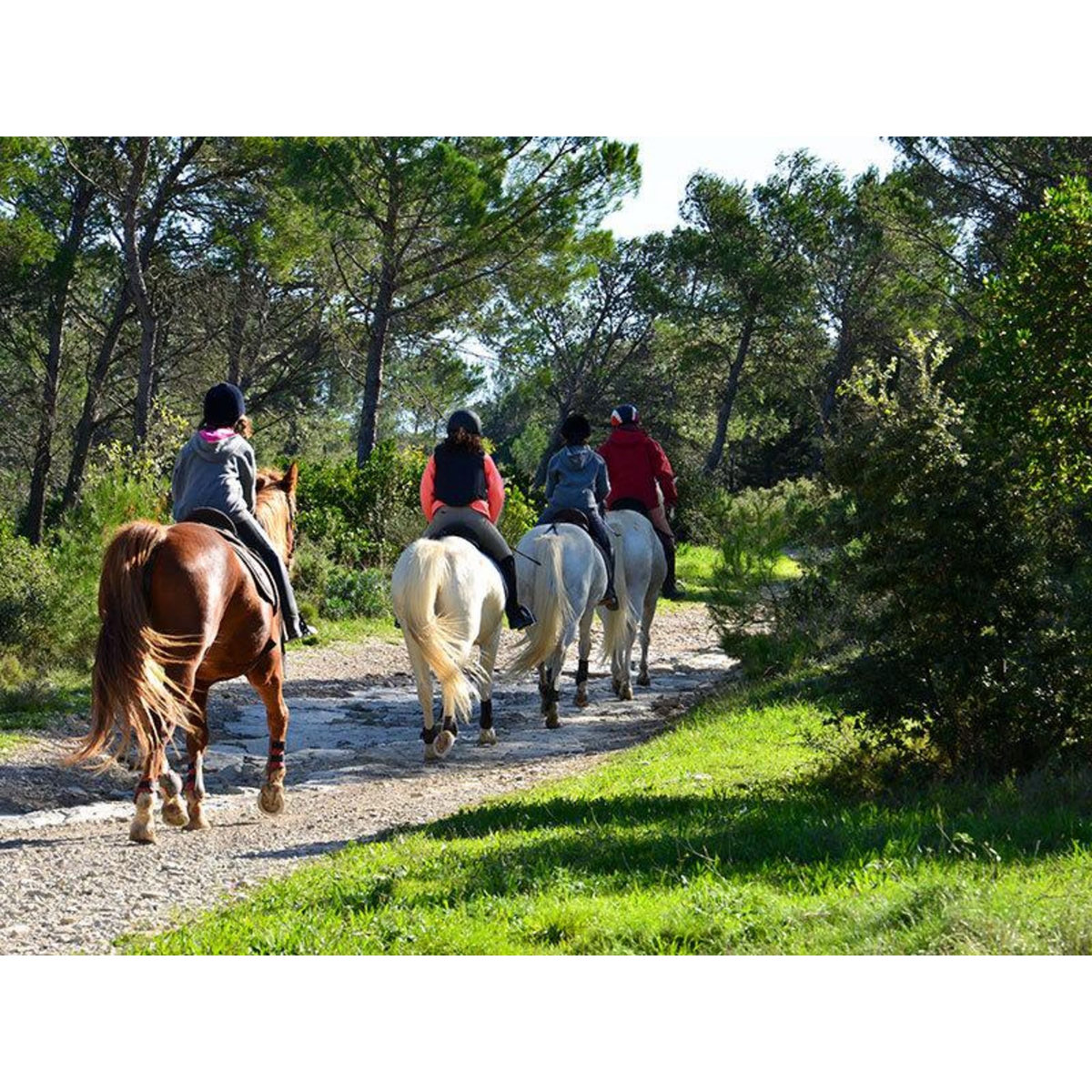Smartbox Coffret Cadeau de Noël : 1 activité pour 3 à 5 personnes - Coffret Cadeau Multi-thèmes