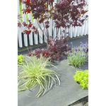 Nortene Feutre en matière plastique végétale PLA