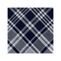 Voir la diapositive 3 : VANDERSICKEL Lot de 12 mouchoirs Homme travail 50x50 cm 100% coton