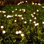 Voir la diapositive 2 : Lumisky Lot de 18 torches solaires 180 boules LYRA Noir Plastique H70cm