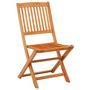 Voir la diapositive 2 : VIDAXL Chaises de jardin pliables lot de 4 Bois d'eucalyptus massif