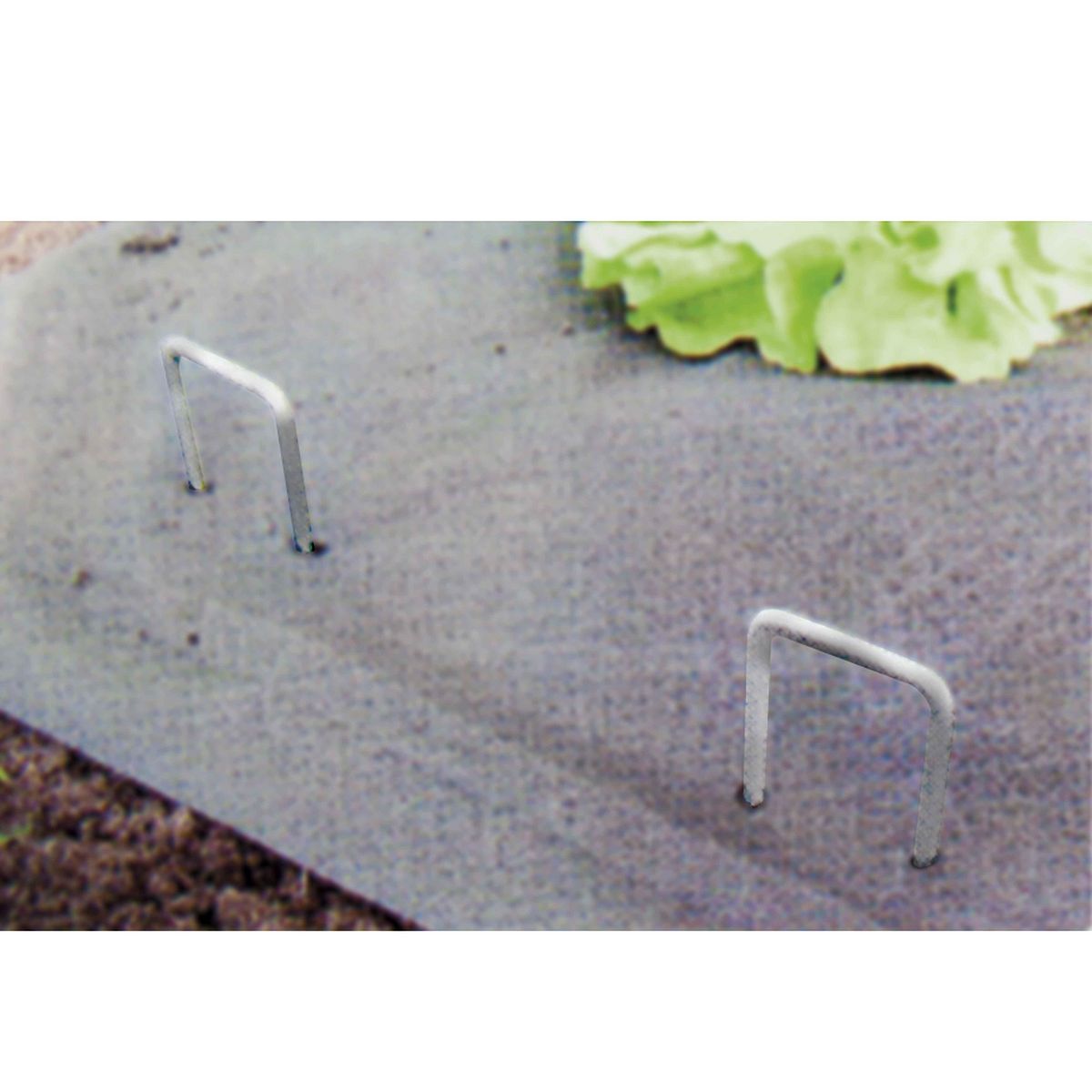  Lot de 40 Agrafes métalliques galvanisée WERKA PRO  15x4cm