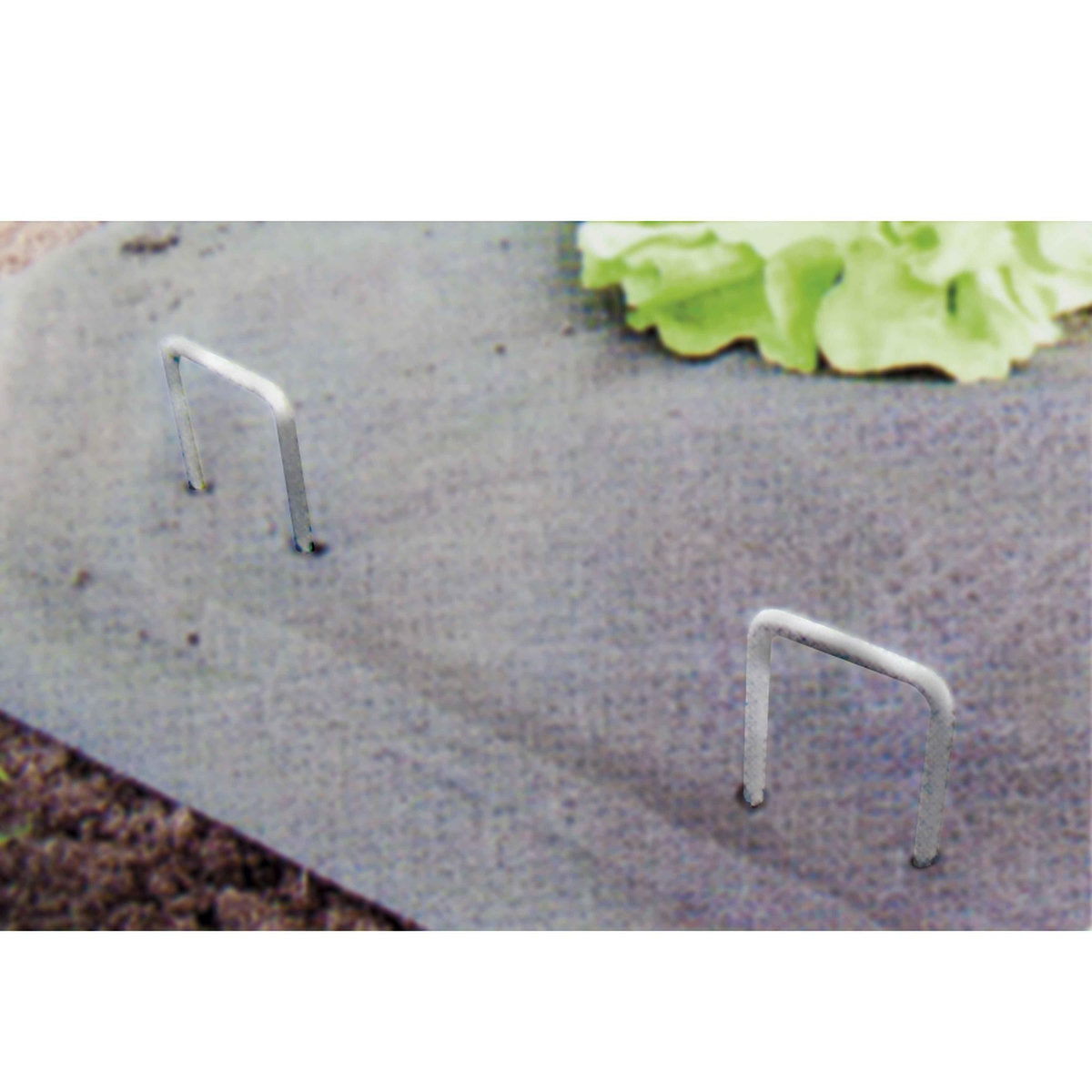  Lot de 40 Agrafes métalliques galvanisée WERKA PRO  15x4cm