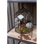Voir la diapositive 5 : Paris Prix Terrarium en Verre Vintage  Brisla  38cm Noir