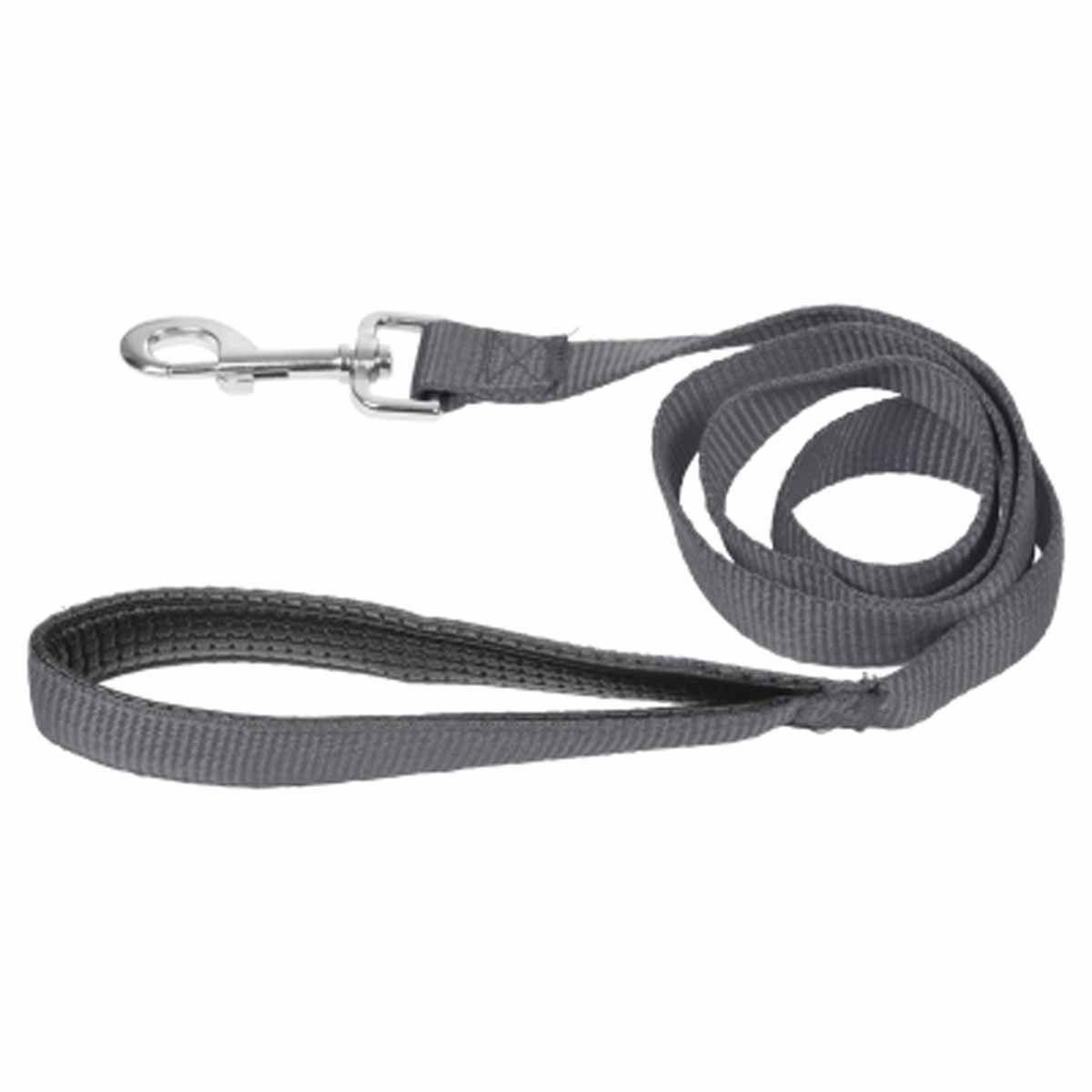 HOMEA Laisse chien confort  essentiel  120cm anthracite